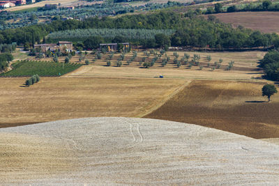 High angle view of agricultural field