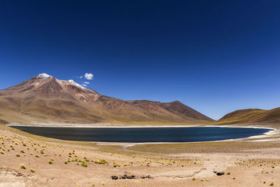 Scenic view of desert against clear blue sky