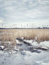 Scenic view of frozen water against sky