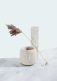 Pampas grass still life of cocrete vase isometric  projection table against white marble background 