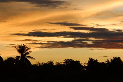 Low angle view of silhouette trees against sky during sunset
