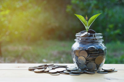 Close-up of coins with leaves in jar on table