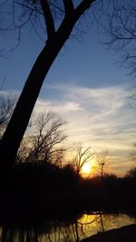 Low angle view of silhouette bare trees on lake against sky