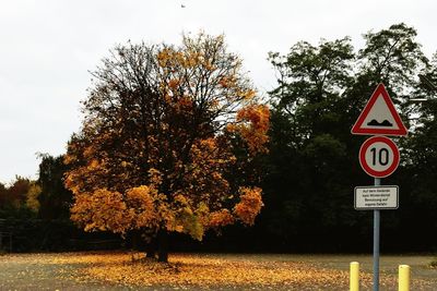 Road sign in a park