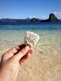 Close-up of cropped hand holding seashell