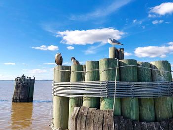 Wooden posts in sea against sky