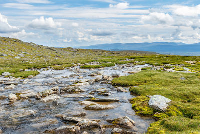 River on a high country landscape