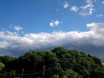 Low angle view of trees against blue sky