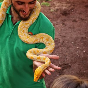 Smiling man holding snake