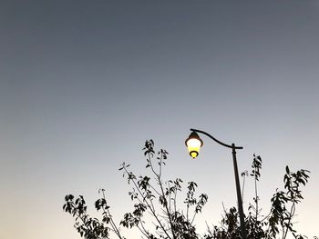 Low angle view of street light against clear sky