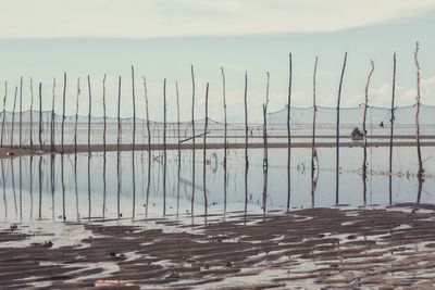 Wooden posts on beach against sky