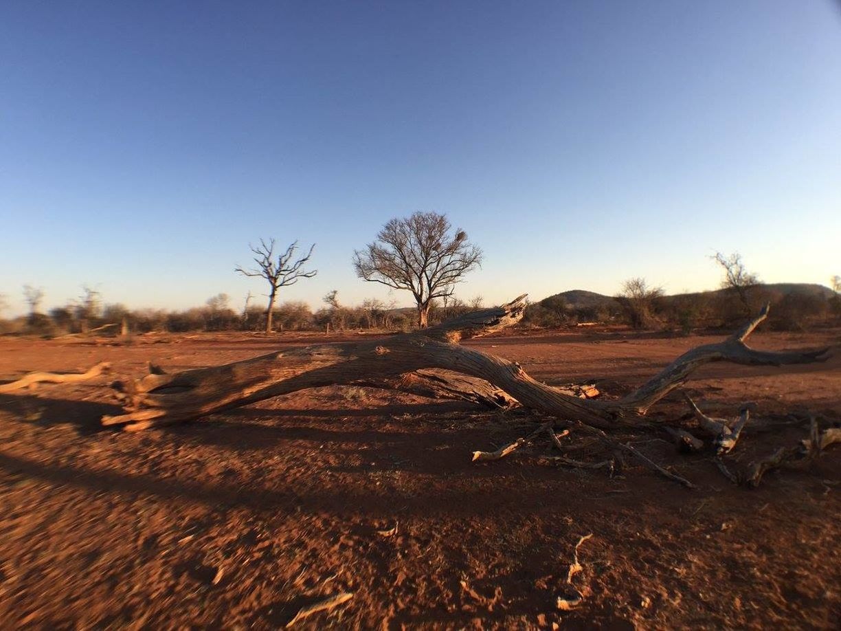 SCENIC VIEW OF DESERT AGAINST SKY