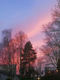 Low angle view of trees against sky at dusk