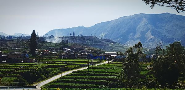 Panoramic view of trees and buildings against sky