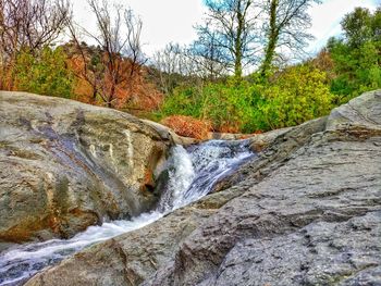 Scenic view of waterfall in forest