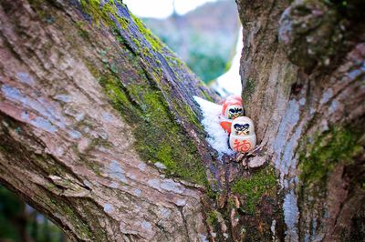 Close-up of figurines on tree trunk