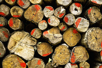 Full frame shot of logs in forest