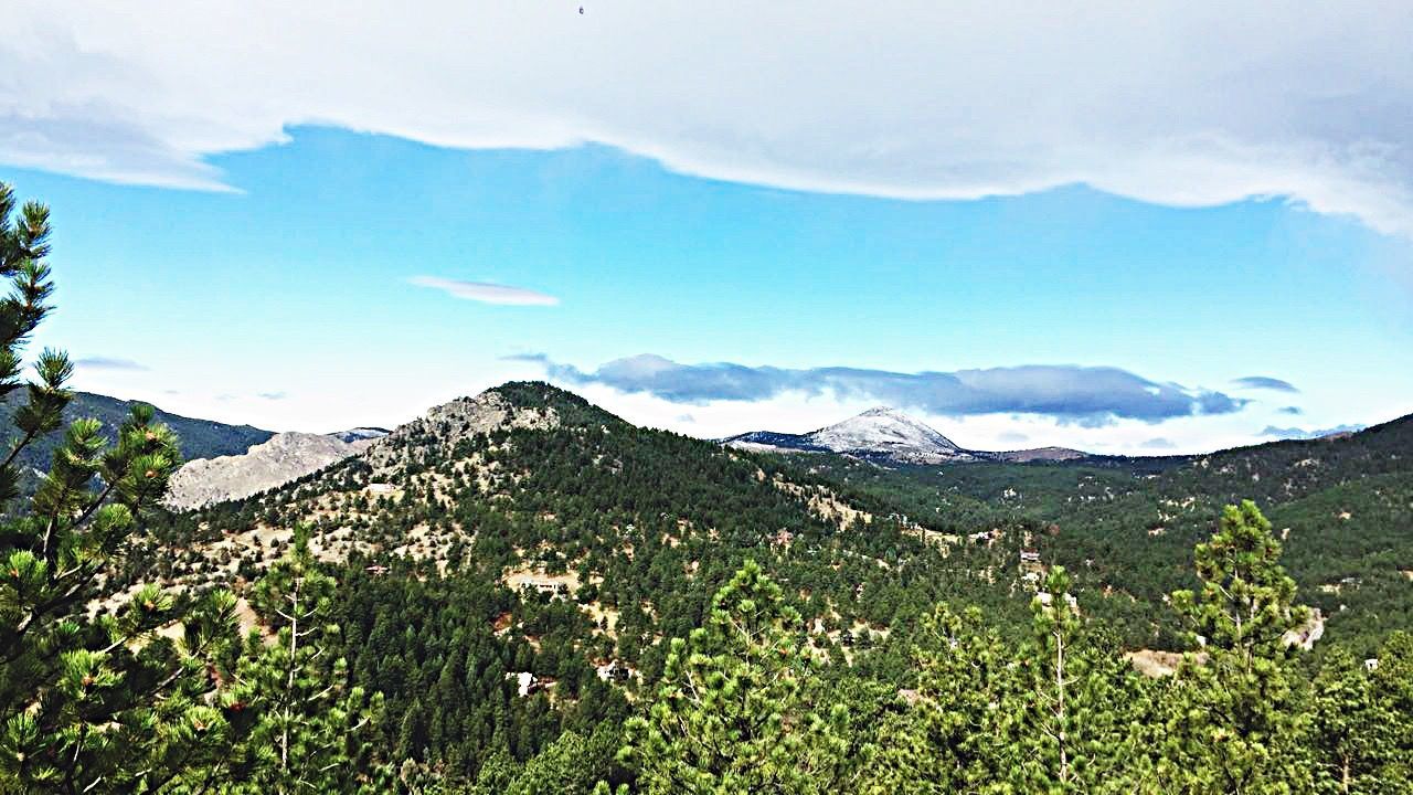 SCENIC VIEW OF TREE MOUNTAINS AGAINST SKY