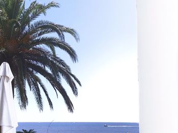 Palm trees by sea against clear sky