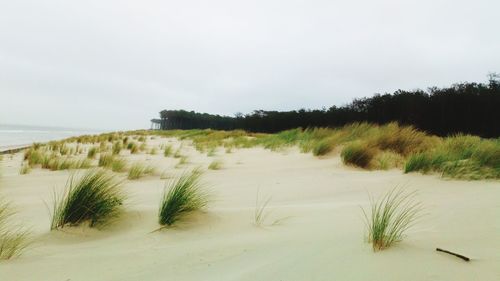 Scenic view of beach against clear sky