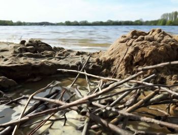 Scenic view of water against sky