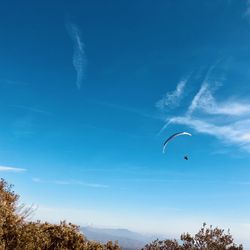 Low angle view of person paragliding against blue sky