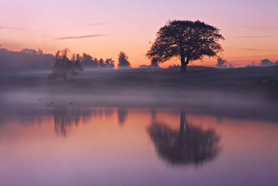 Silhouette trees by lake against romantic sky at sunset