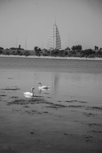 Birds flying over lake against sky