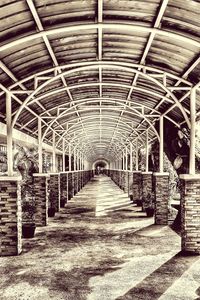 Walkway leading to building