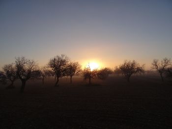 Silhouette trees against sky during sunset