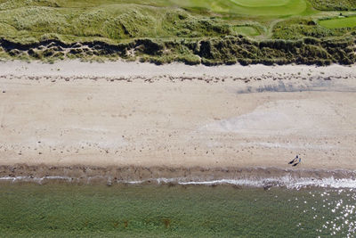 Scenic view of beach