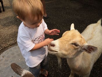 Boy playing with goat