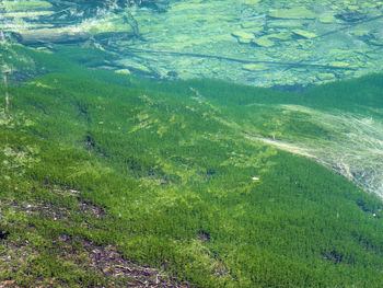 Full frame shot of water