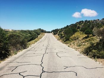 Road amidst plants against sky