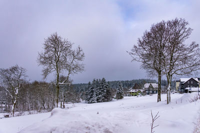 Bare trees on snow covered field against sky