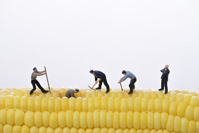 Group of people against white background