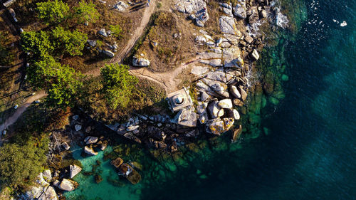 High angle view of birds in sea