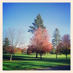 Scenic view of grassy field against sky