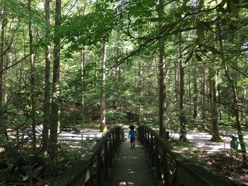 People walking on footbridge in forest