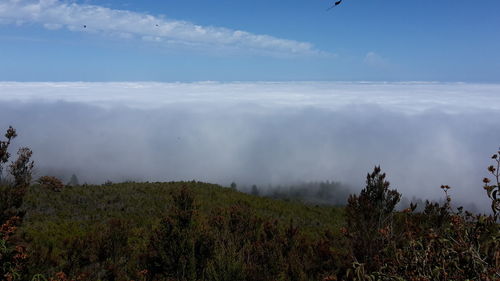 Scenic view of landscape against cloudy sky