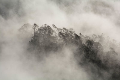 Low angle view of cloudy sky