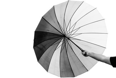 Person holding umbrella against white background