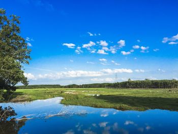 Scenic view of lake against blue sky