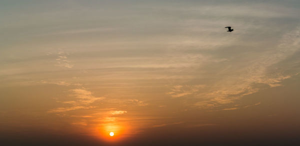 Silhouette of a bird flying against sky at sunset