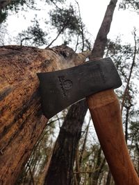Close-up of rusty tree trunk against sky