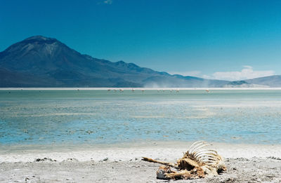 Scenic view of lake and mountains against blue sky