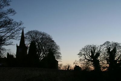 Low angle view of silhouette bare trees against sky
