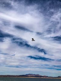 Low angle view of airplane flying in sky