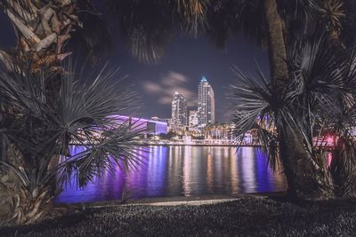 View of fireworks at night