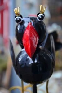 Close-up of black bird